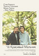 Красивый мальчик / Beautiful Boy (2018) BDRip 720p от Scarabey | HDRezka Studio