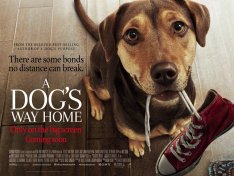 Путь домой / A Dog's Way Home (2019) HDRip | iTunes