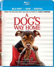 Путь домой / A Dog's Way Home (2019) HDRip от MegaPeer | iTunes