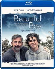 Красивый мальчик / Beautiful Boy (2018) BDRip от MegaPeer | iTunes