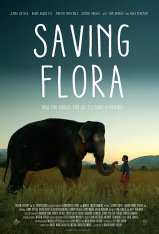 Побег с Фионой / Saving Flora (2018) WEB-DLRip | iTunes