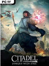 Citadel: Forged with Fire [v 28720] (2019) PC | RePack от SpaceX