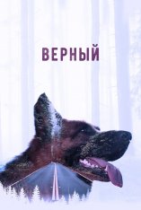 Верный (2016) WEB-DL 1080p