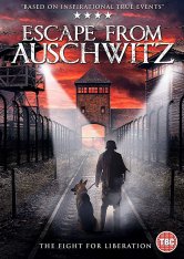 Побег из Освенцима /  The Escape from Auschwitz (2020) WEB-DL 720p