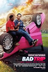 Бэд трип / Bad Trip (2020) WEB-DL 720p