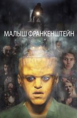 Малыш Франкенштейн / Baby Frankenstein (2019) WEB-DLRip