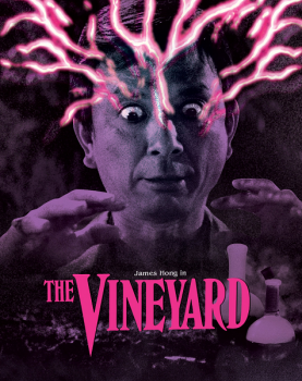 Виноградник / The Vineyard (1989) BDRip | L1