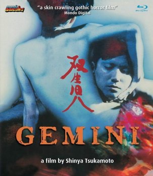 Близнецы / Soseiji / Gemini (1999) BDRemux 1080p | A