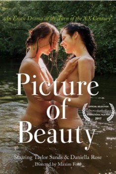 Картина красоты / Picture of Beauty (2017) BDRemux 1080i | L1