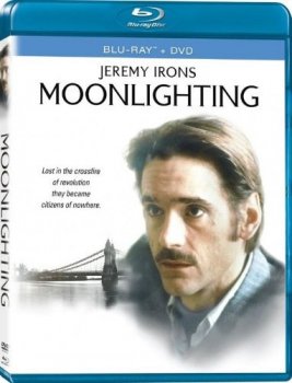 Лунный свет / Moonlighting (1982) BDRip 1080p msltel | P2