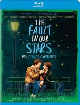 Виноваты звезды / The Fault in Our Stars (2014) BDRip 720p от Scarabey | Театральная версия | D