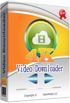 4K Video Downloader 4.13.3.3870 (2020) PC | RePack & portable by KpoJIuK