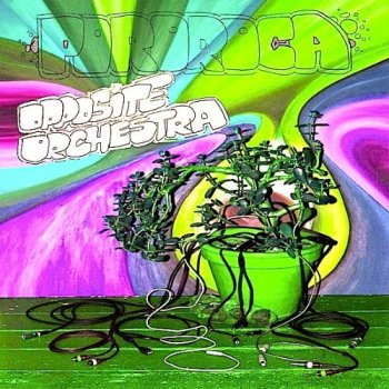 Pororoca - Opposite Orchestra (2017) MP3