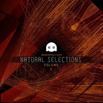 VA - Natural Selections Vol. 2 (2017) MP3