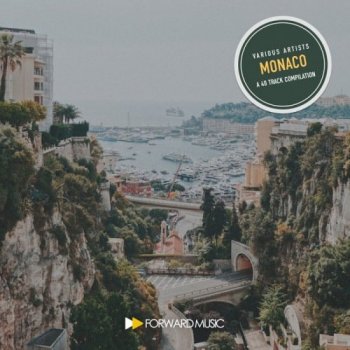 VA - A 40 Track Compilation: Monaco (2020) FLAC