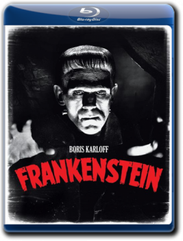 Франкенштейн / Frankenstein (1931) BDRip-AVC от DrVampir | P