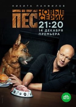 Пёс (НТВ) [06х01-14 из 20] (2020) WEBRip от Files-х