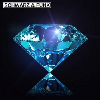 Schwarz & Funk - Discography (2008-2020) FLAC