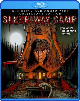 Спящий лагерь / Sleepaway Camp (1983) BDRemux 1080р | P, A