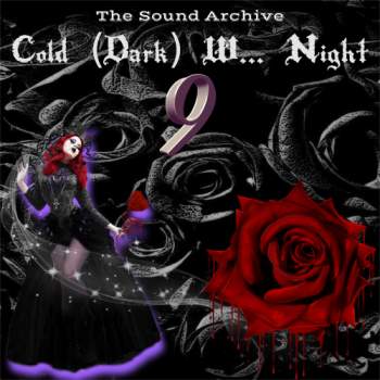 VA - Cold (Dark) W... Night vol. 9 [by The Sound Archive] (2020) MP3