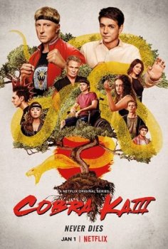 Кобра Кай / Cobra Kai [S03] (2021) WEBRip 1080p | LakeFilms