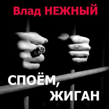 Влад Нежный - Споём, жиган (2015) MP3