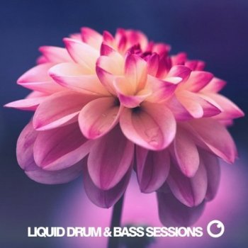 VA - Liquid Drum & Bass Sessions: Vol 9 [WEB] (2020) FLAC