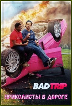 Бэд трип / Приколисты в дороге / Bad Trip (2020) WEB-DLRip-AVC от MediaBit | Netflix