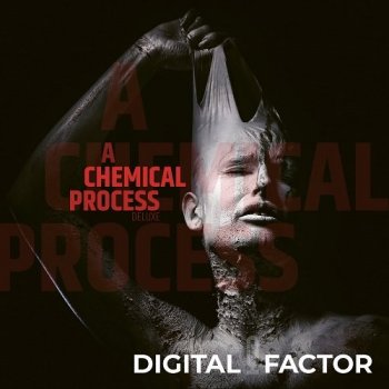 Digital Factor - A Chemical Process (2021) FLAC