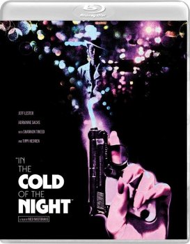 Под покровом ночи / In the Cold of the Night (1990) BDRip | P