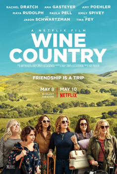 Винная страна / Wine Country (2019) WEB-DL 1080p | D | Невафильм