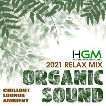 VA - Organic Sound (2021) MP3