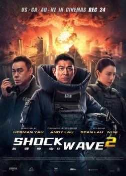 Ударная волна 2 / Shock Wave 2 / Chai dan zhuan jia 2 (2020) HDRip-AVC | L2