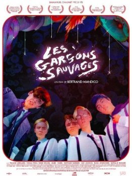 Дикие мальчишки / Les garçons sauvages (2017) BDRip-AVC от msltel | P