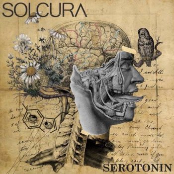 Solcura - Serotonin (2021) mp3