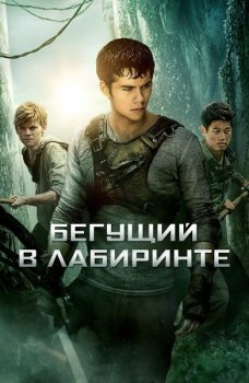 Бегущий в лабиринте: Трилогия / The Maze Runner: Trilogy (2014-2018) UHD BDRip-HEVC 1080p | HDR | D