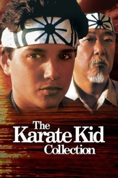 Парень-каратист: Антология / The Karate Kid: Anthology (1984-2010) BDRip-HEVC 1080p от RIPS CLUB | D, P, A