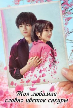 Моя любимая словно цветок сакуры / Sakura no Yona Boku no Koibito / Love Like the Falling Petals (2022) WEB-DLRip | L2