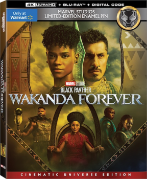 Чёрная Пантера: Ваканда навеки / Black Panther: Wakanda Forever (2022) BDRip 1080p от Leonardo | D, P, L2