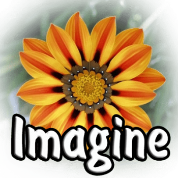 Imagine 1.1.5 + Plugins (2022) PC | + Portable